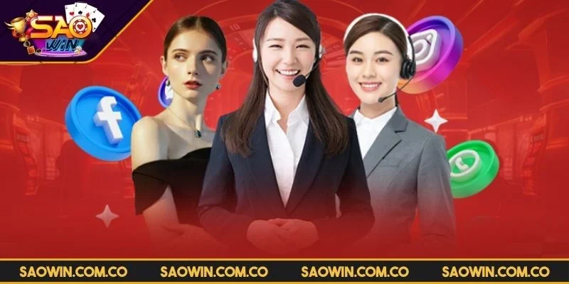 lien-he-saowin-doi-ngu-chuyen-nghiep